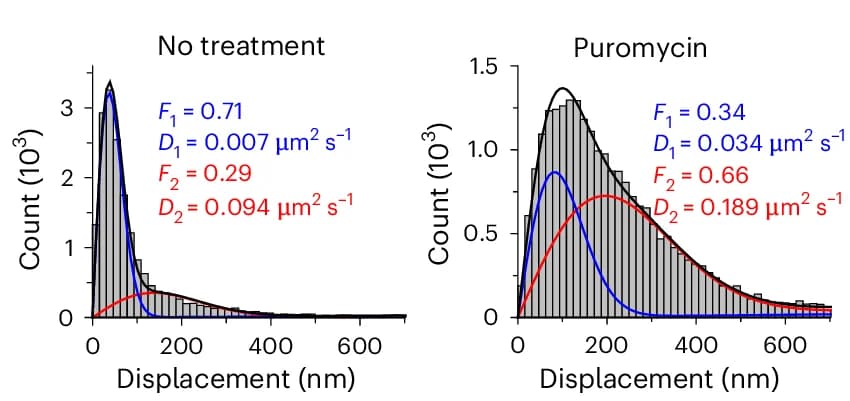 Open access visualization of Bar Plot, Line Plot, Density Plot, Single-Molecule Displacements, Diffusion
