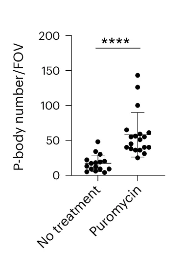 Open access visualization of Scatter Plot, Error Bars, P-body, Quantification, Puromycin