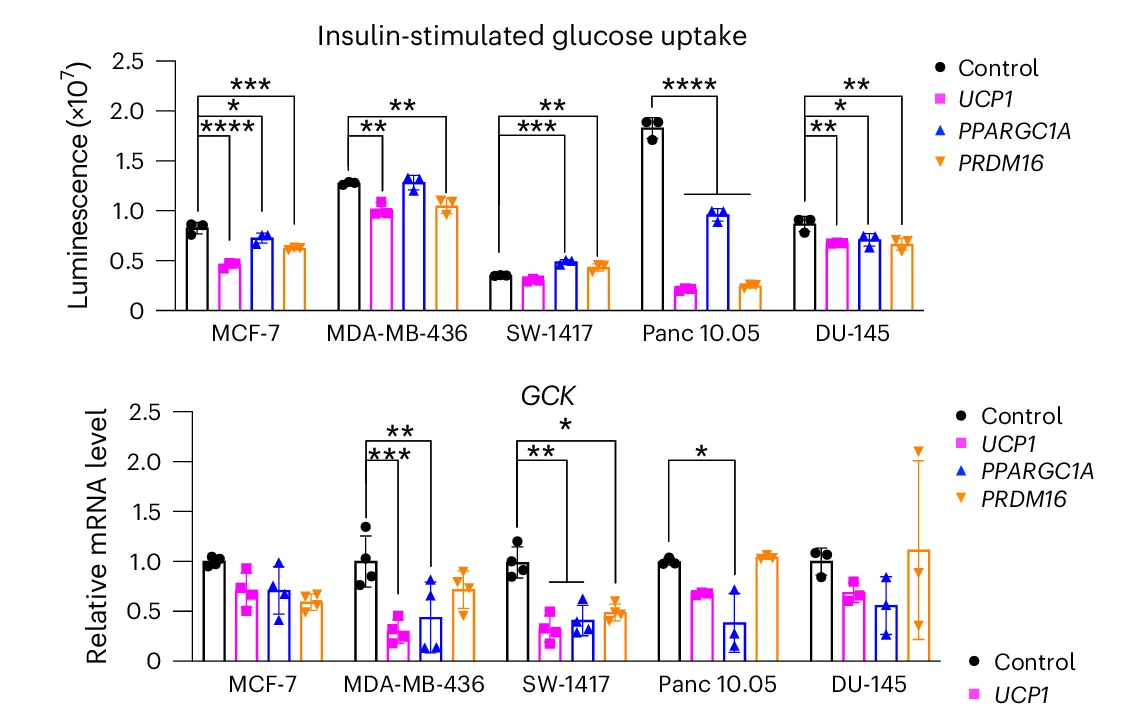 Open access visualization of Bar Plot, Error Bars, Scatter Plot, Glucose Uptake, Cancer Cells