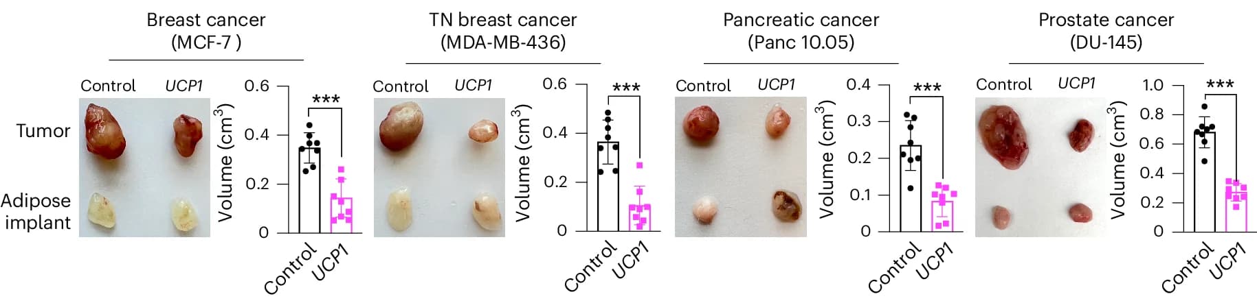 Open access visualization of Bar Plot, Error Bars, Photo, Xenograft Tumors, Cancer Cell Lines