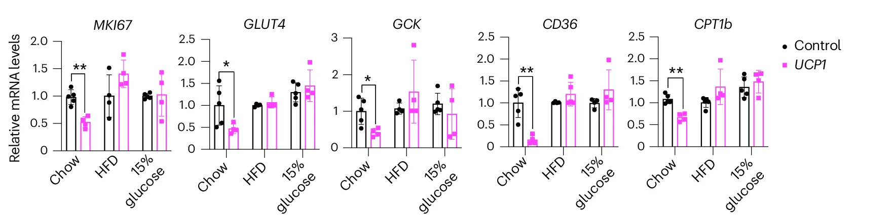 Open access visualization of Bar Plot, Error Bars, Scatter Plot, RT-qPCR, Proliferation Marker Gene MKI67
