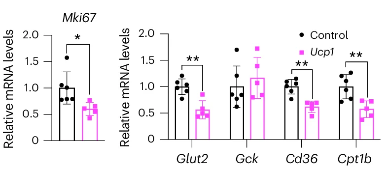 Open access visualization of Bar Plot, Error Bars, Clustered, Scatter Plot, RTqPCR