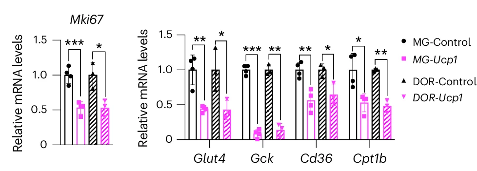 Open access visualization of Bar Plot, Error Bars, Clustered, RTqPCR, Proliferation Marker