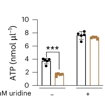 Open access visualization of Bar Plot, Scatter Plot, Error Bars, ATP Levels, PANC-1 Pancreatic Cancer Cells