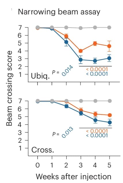 Open access visualization of Line Plot, Error Bars, Ataxic phenotypes, Cacna1a, Motor behavior