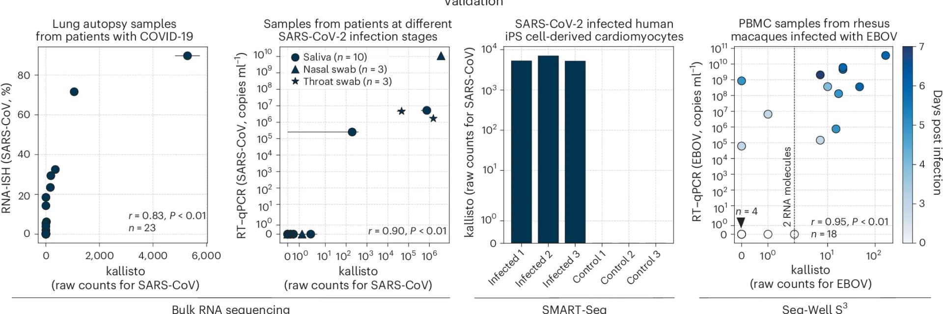 Open access visualization of Scatter Plot, Bar Plot, Error Bars, Bubble Plot, RNA ISH