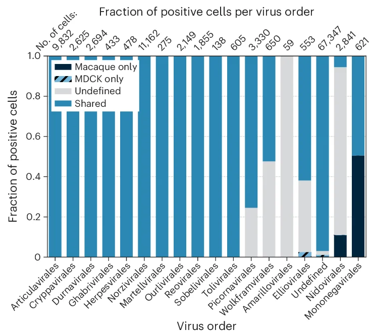 Open access visualization of Stacked Bar Plot, Barplot, Positive Cells, Viral Order