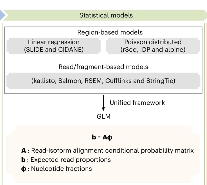 Open access visualization of Workflow, Flowchart, Illustration, Statistical Models, Gene Isoform