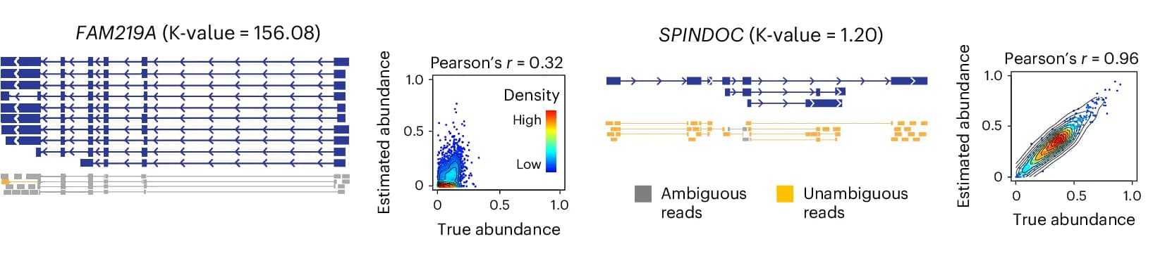 Open access visualization of Scatter Plot, Density Plot, Gene Isoform, Short Reads, FAM219A