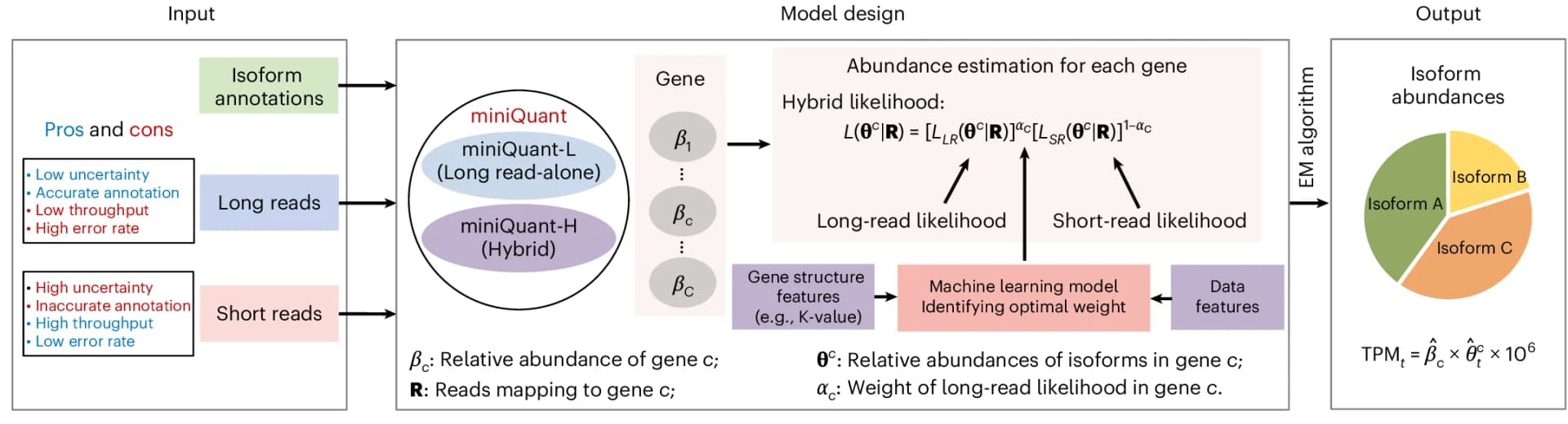 Open access visualization of Workflow, Flowchart, Pie Chart, miniQuant, Gene Isoform Abundance