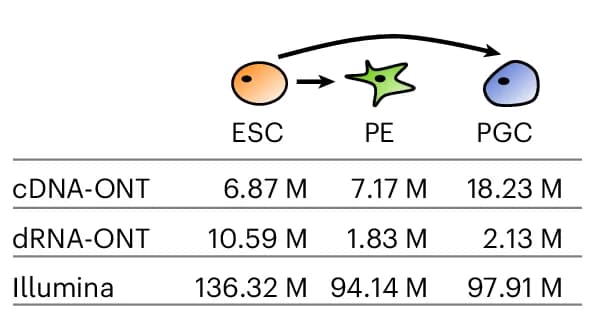 Open access visualization of Workflow, Table Image, Long Reads, Short-Read Pairs