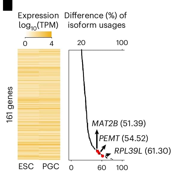 Open access visualization of Heatmap, Scatter Plot, Line Plot, Expression Heatmap, Isoform Switches