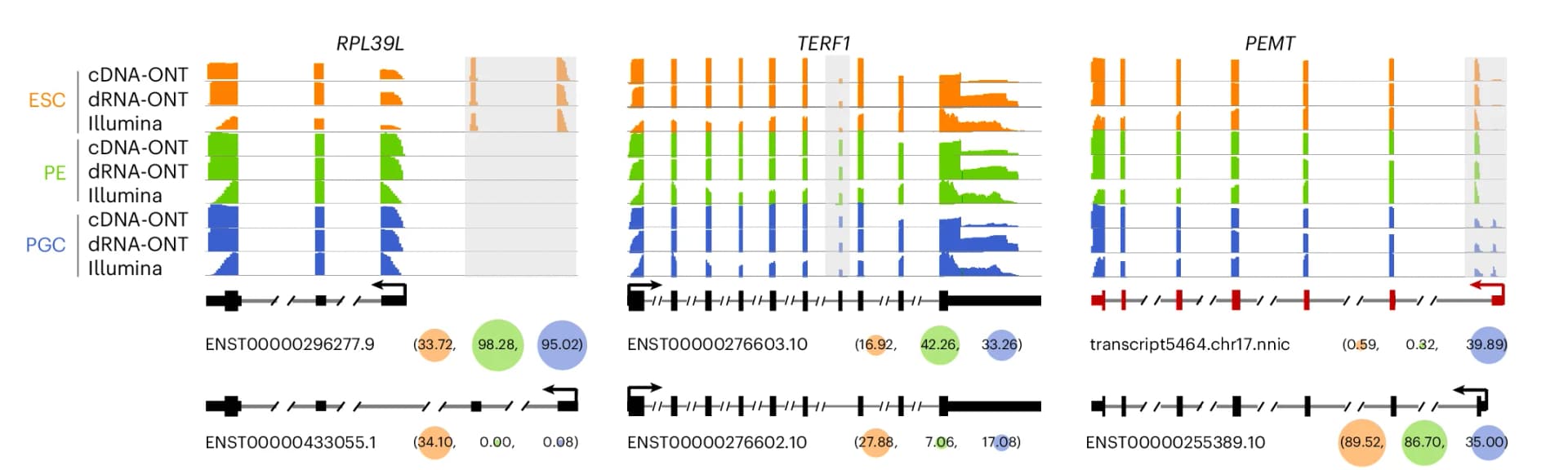 Open access visualization of Line Plot, Scatter Plot, Example Genes, Isoform Switches, Gene Isoform