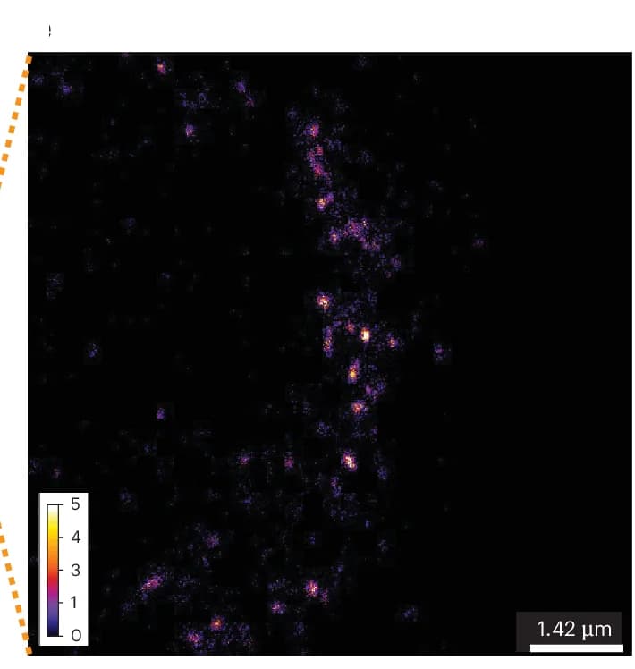 Open access visualization of Microscopy, Magnified View