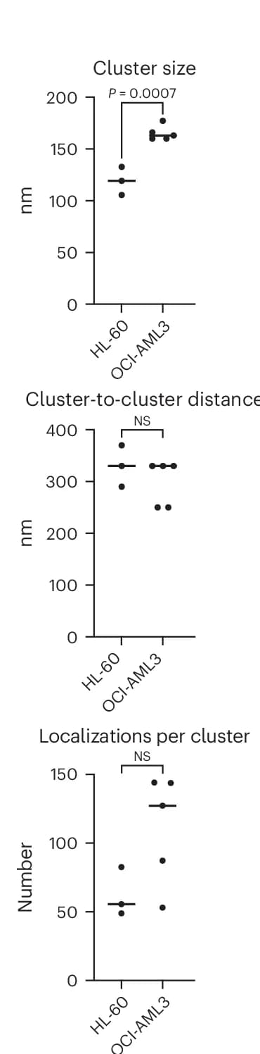 Open access visualization of Scatter Plot, Cluster Size, Cluster Distance, Localizations Per Cell, Quantification