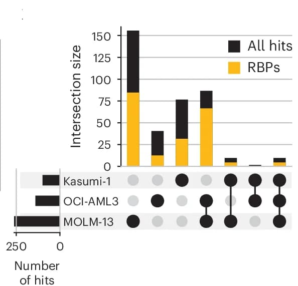 Open access visualization of Stacked Bar Plot, UpSet, Bar Plot, Intersection Analysis, Proximity Labeling
