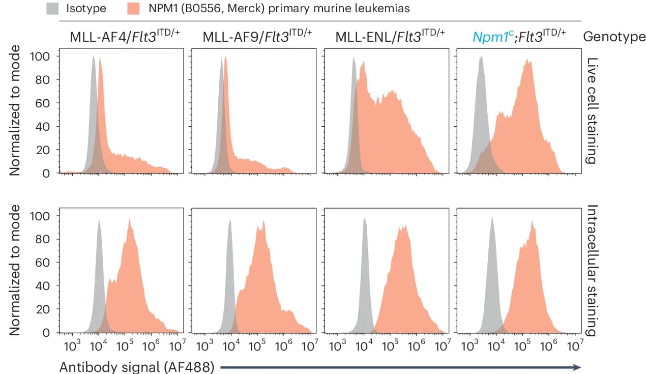 Open access visualization of Density Plot, Line Plot, Flow Cytometry, Murine Leukemias, Bone Marrow-Derived Cells