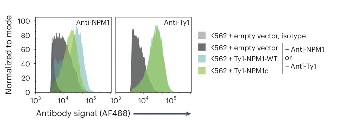 Open access visualization of Density Plot, Flow Cytometry, K562 Cells, Transduction, Plasmid