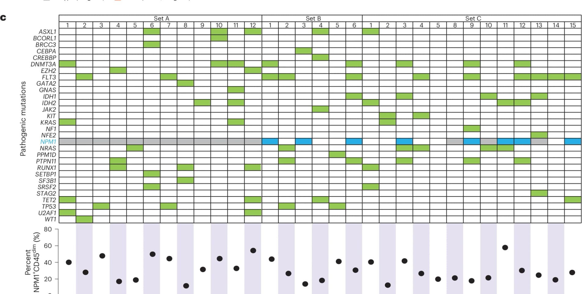 Open access visualization of Scatter Plot, Heatmap, Dot Plot, NPM1+ Cells, Patient BM