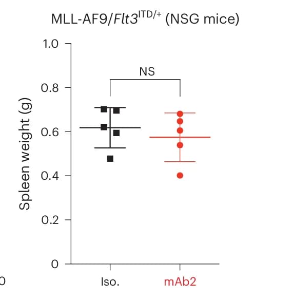 Open access visualization of Scatter Plot, Error Bars, Spleen Weight, NSG Mice, Transplantation