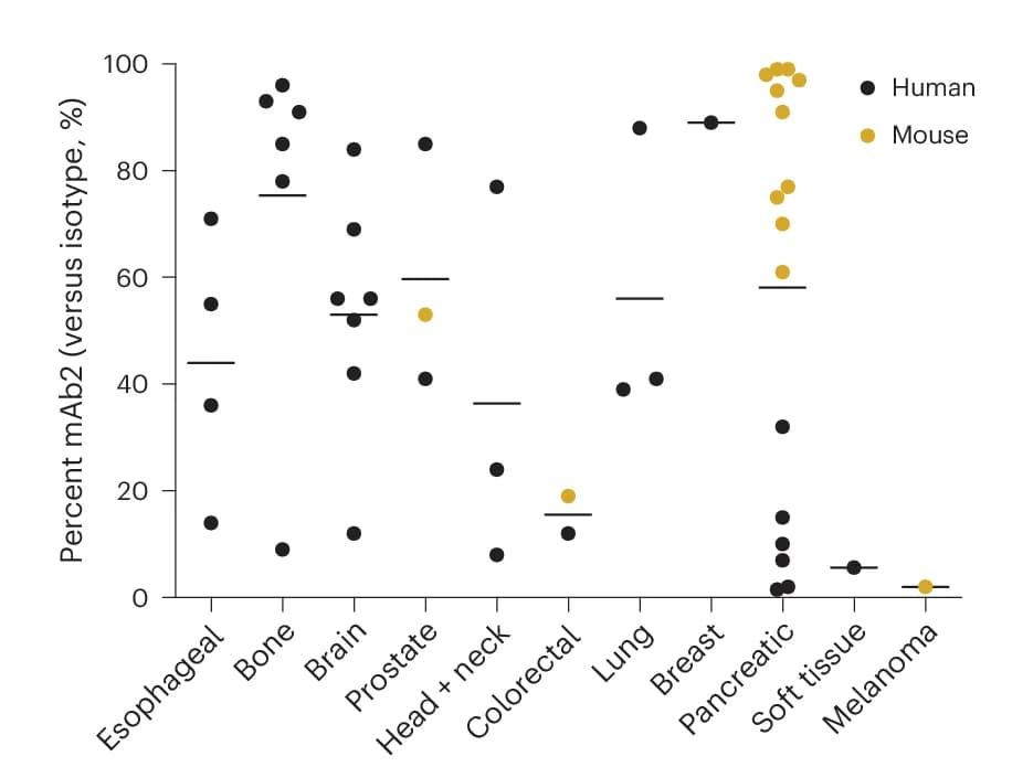 Open access visualization of Scatter Plot, Flow Cytometric Analysis, Human Cancer Models, Mouse Cancer Models, Solid Cancer Models