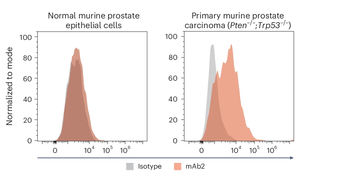 Open access visualization of Density Plot, Live Cell Flow Cytometry, Murine Prostate Epithelial Cells, Pten -/- ; Trp53 -/- Prostate Carcinoma Cells, Isotype Control