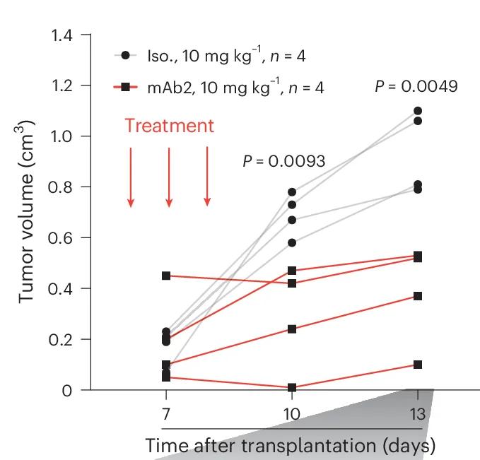 Open access visualization of Line Plot, Scatter Plot, Tumor Volume, Mouse Colorectal Cancer Model, MC38