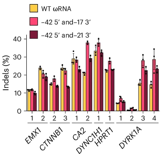 Open access visualization of Clustered, Error Bars, Indel Formation, RNA, OrufIscB-KRK