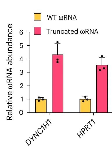 Open access visualization of Bar Plot, Error Bars, Clustered, RNA Abundance, HEK293FT Cells