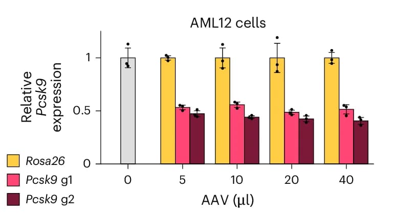 Open access visualization of Clustered, Error Bars, Pcsk9 Transcript Levels, RT-qPCR, AML12 Cells