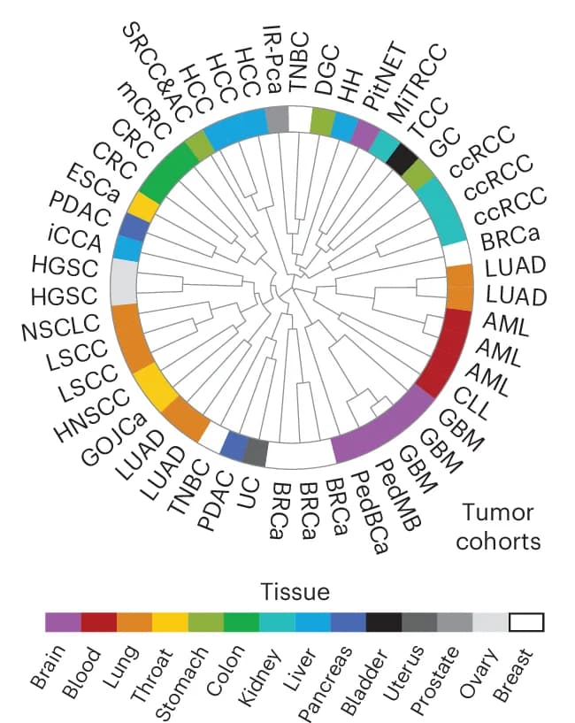 Open access visualization of Network, Pathway, Chord, Bar Plot, Pie Chart