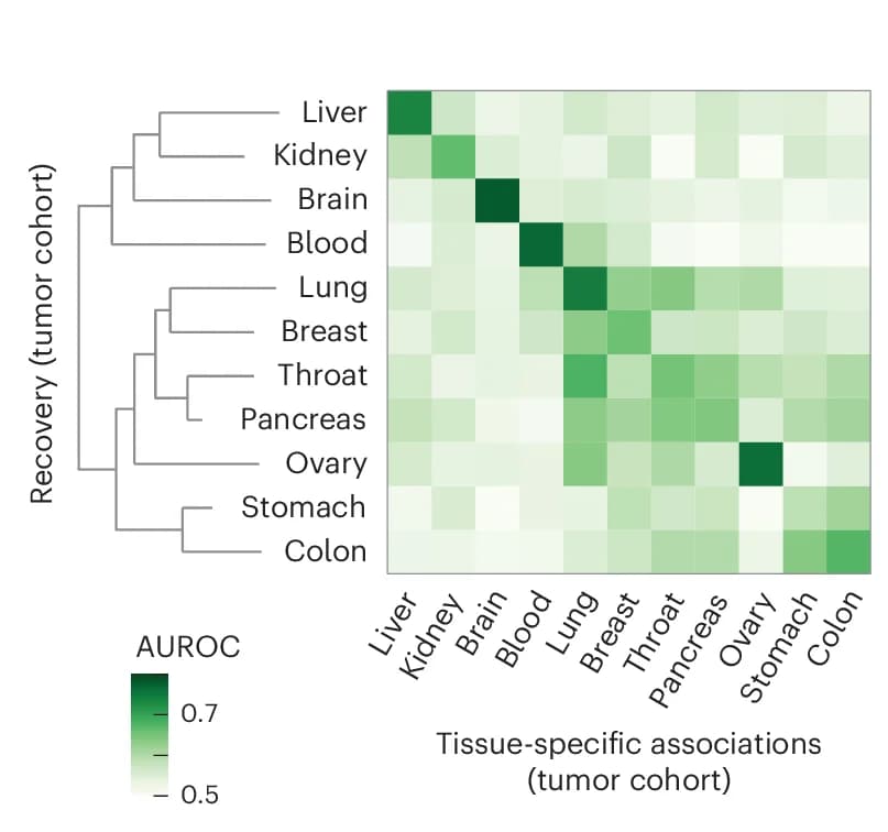 Open access visualization of Heatmap, Clustered, Heat Map, AUCs, Tissue-Specific Associations