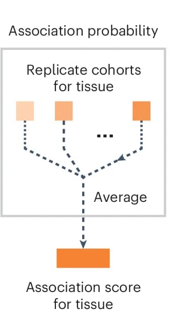 Open access visualization of Workflow, Flowchart, Illustration, Tissue, Association Score
