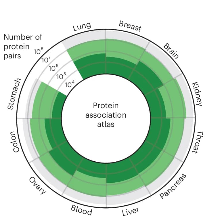 Open access visualization of Radar Chart, Sunburst, Protein Associations, Human Tissues, Protein Pairs