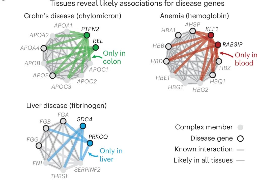 Open access visualization of Network, Pathway, Hemoglobin, Anemia, Chylomicron