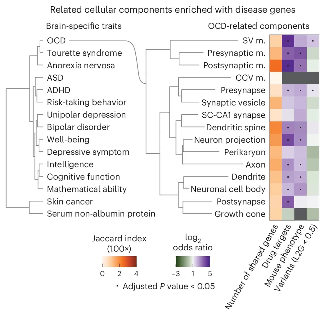 Open access visualization of Heatmap, Clustered, Dendrograms, GWAS Traits, Cellular Components