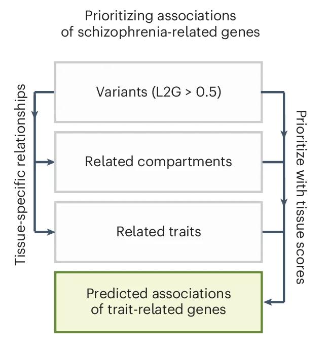 Open access visualization of Workflow, Flowchart, Illustration, Genetic Variants, Schizophrenia