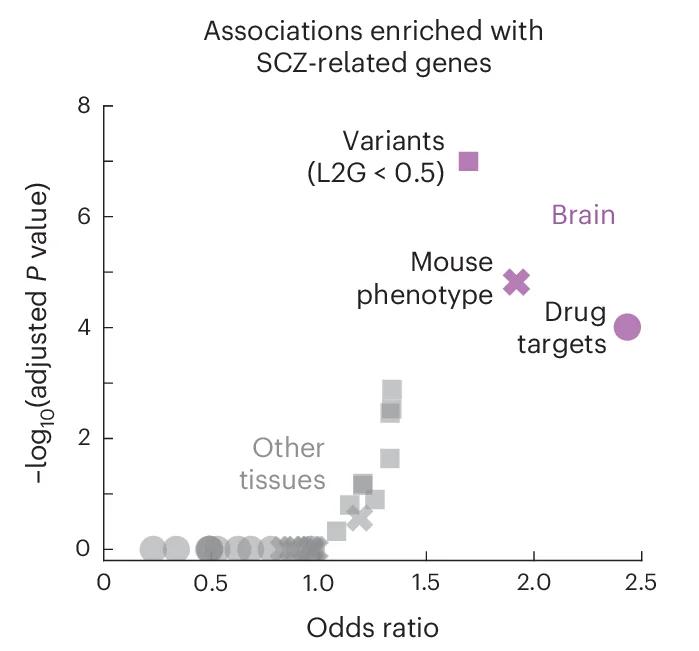 Open access visualization of Scatter Plot, Volcano Plot, Gene Associations, Schizophrenia, Mouse Phenotypes
