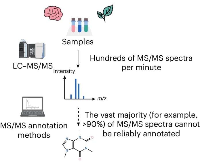 Open access visualization of Workflow, Illustration, Bar Plot, LC-MS/MS, Mass Spectra