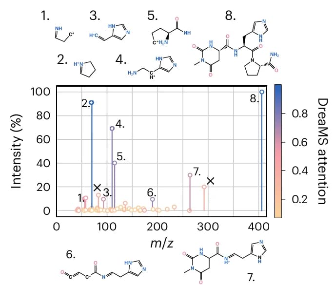 Open access visualization of Line Plot, Spectrum, Attention, Molecular Fragments, Noise