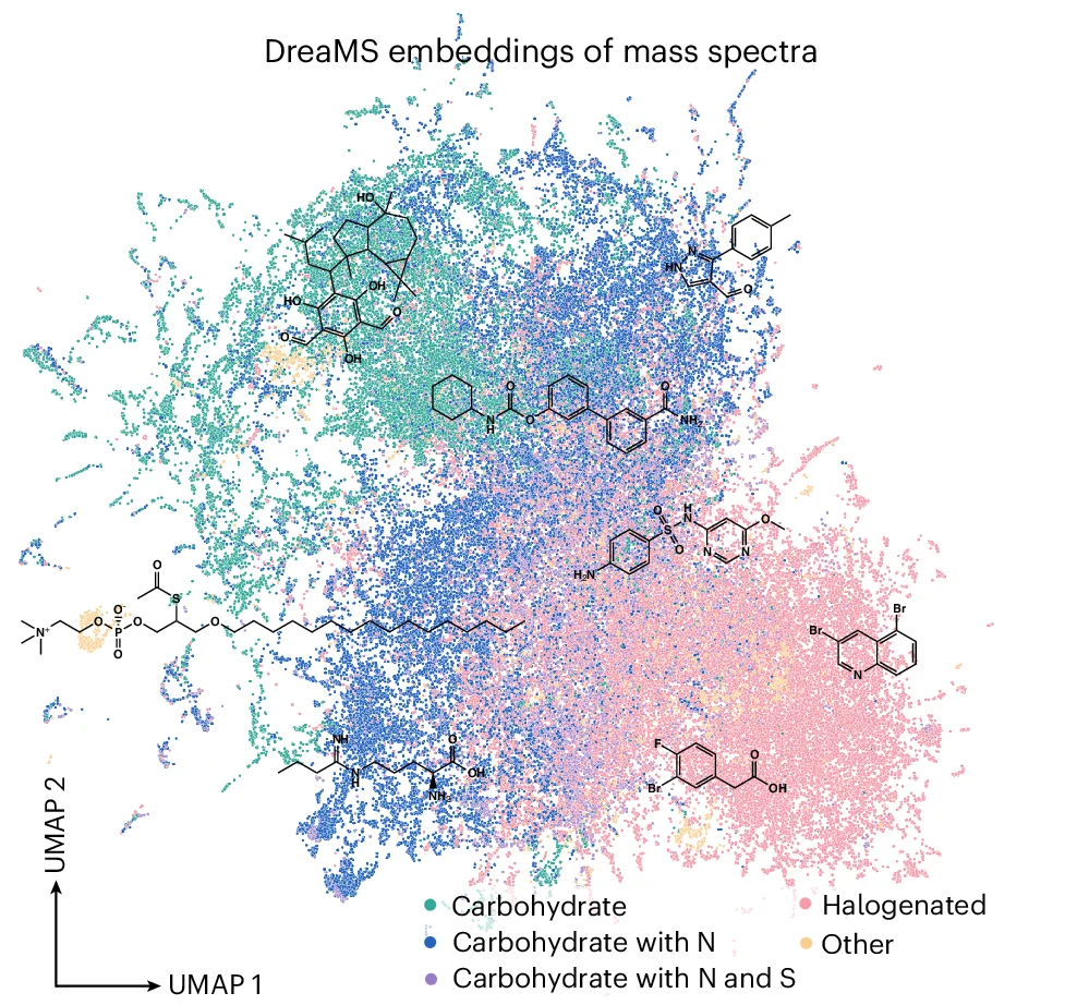 Open access visualization of UMAP, Scatter Plot, UMAP Projection, DreaMS Embeddings, Molecular Formulas