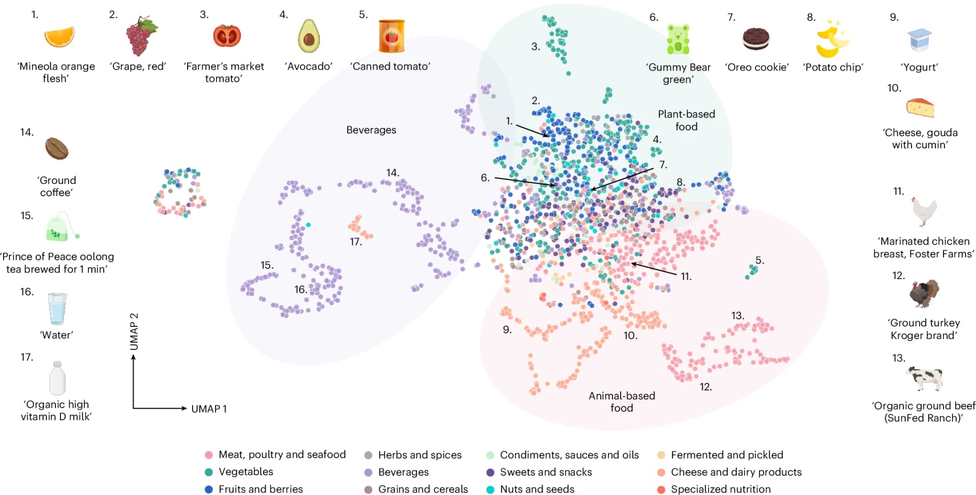 Open access visualization of Scatter Plot, UMAP, UMAP Plot, DreaMS Embeddings, MS/MS Spectra