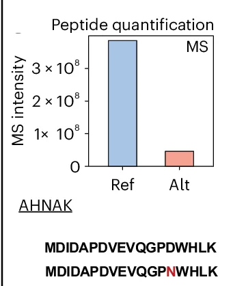 Open access visualization of Bar Plot, Somatic SNV, AHNAK, Non-Canonical Peptide