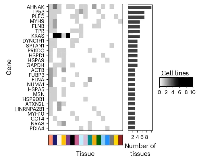 Open access visualization of Heatmap, Bar Plot, Variant Peptides, Cell Lines, Tissues of Origin