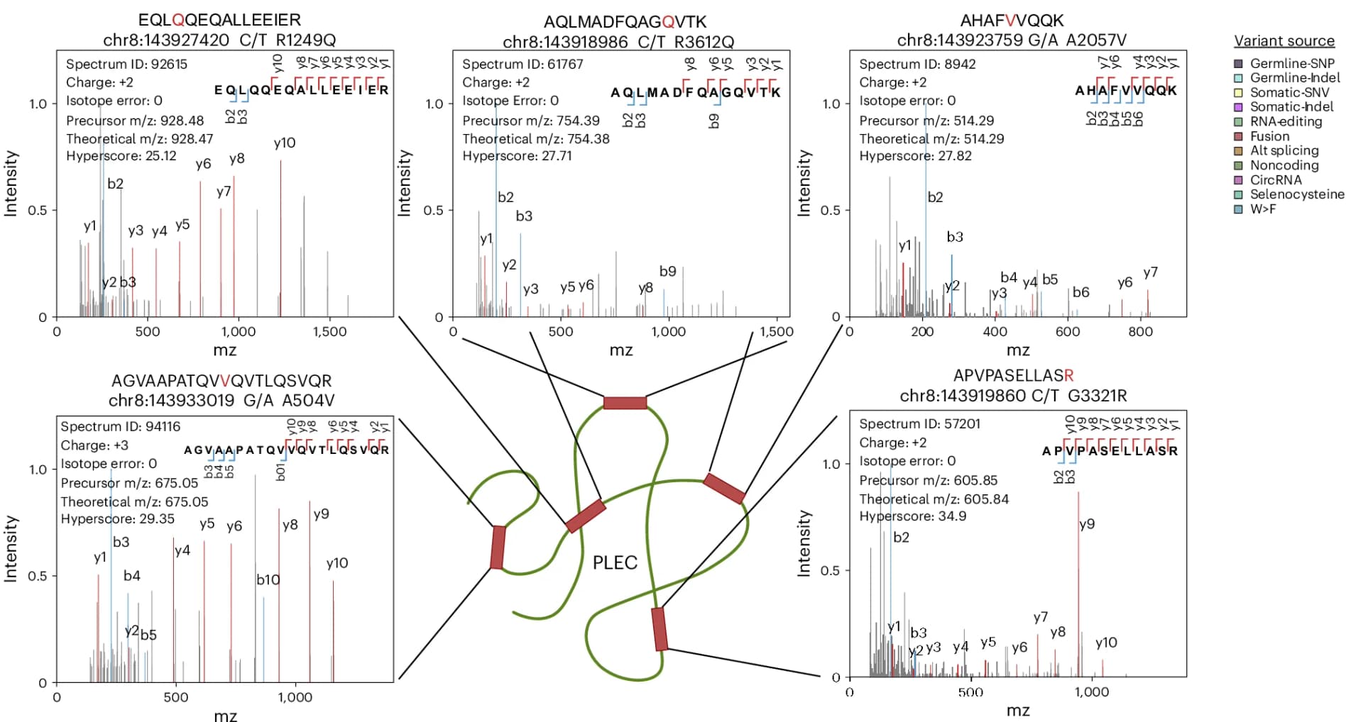Open access visualization of Line Plot, Variant Peptides, Prostate Tumor, Plectin, Fragment Ions