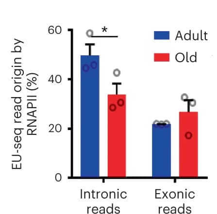 Open access visualization of Bar Plot, Error Bars, Clustered, EU-seq reads, RNAPII