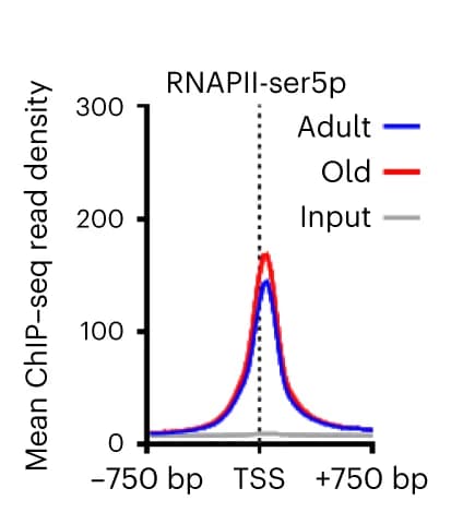 Open access visualization of Line Plot, RNAPII, ChIP-seq, TSS, Adult Liver
