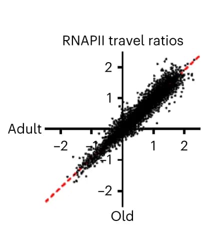 Open access visualization of Scatter Plot, Regression Plot, RNAPII, ChIP-seq, Expressed Genes