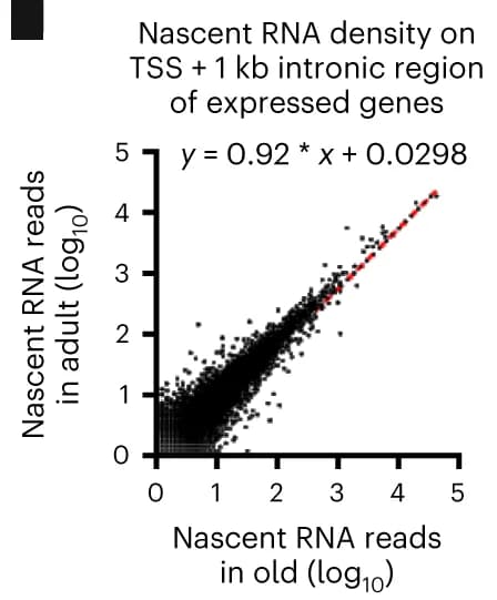 Open access visualization of Scatter Plot, Regression Plot, Nascent RNA, Introns, TSS