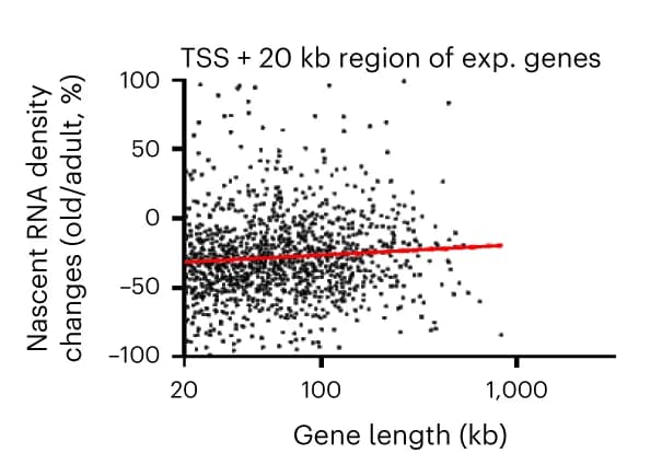 Open access visualization of Scatter Plot, Regression Plot, Expressed Genes, Gene Length, EU-seq